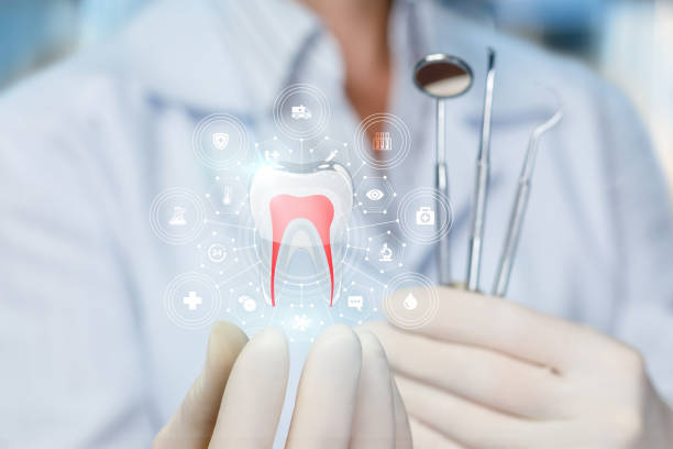  Freeman, SD Holistic Dental Services Pros
